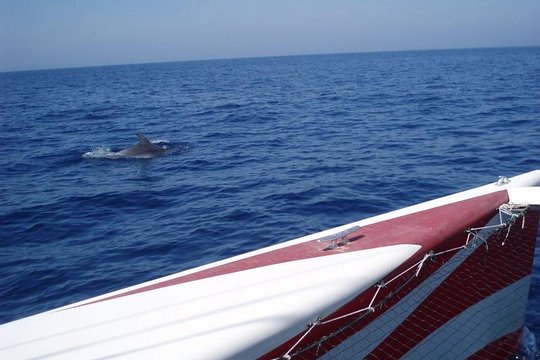 Tour image 6