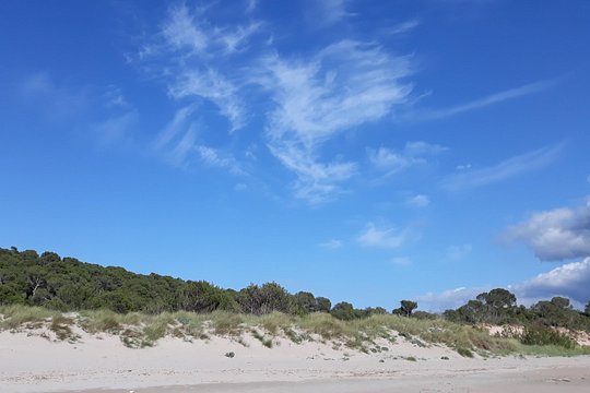 Tour image 6